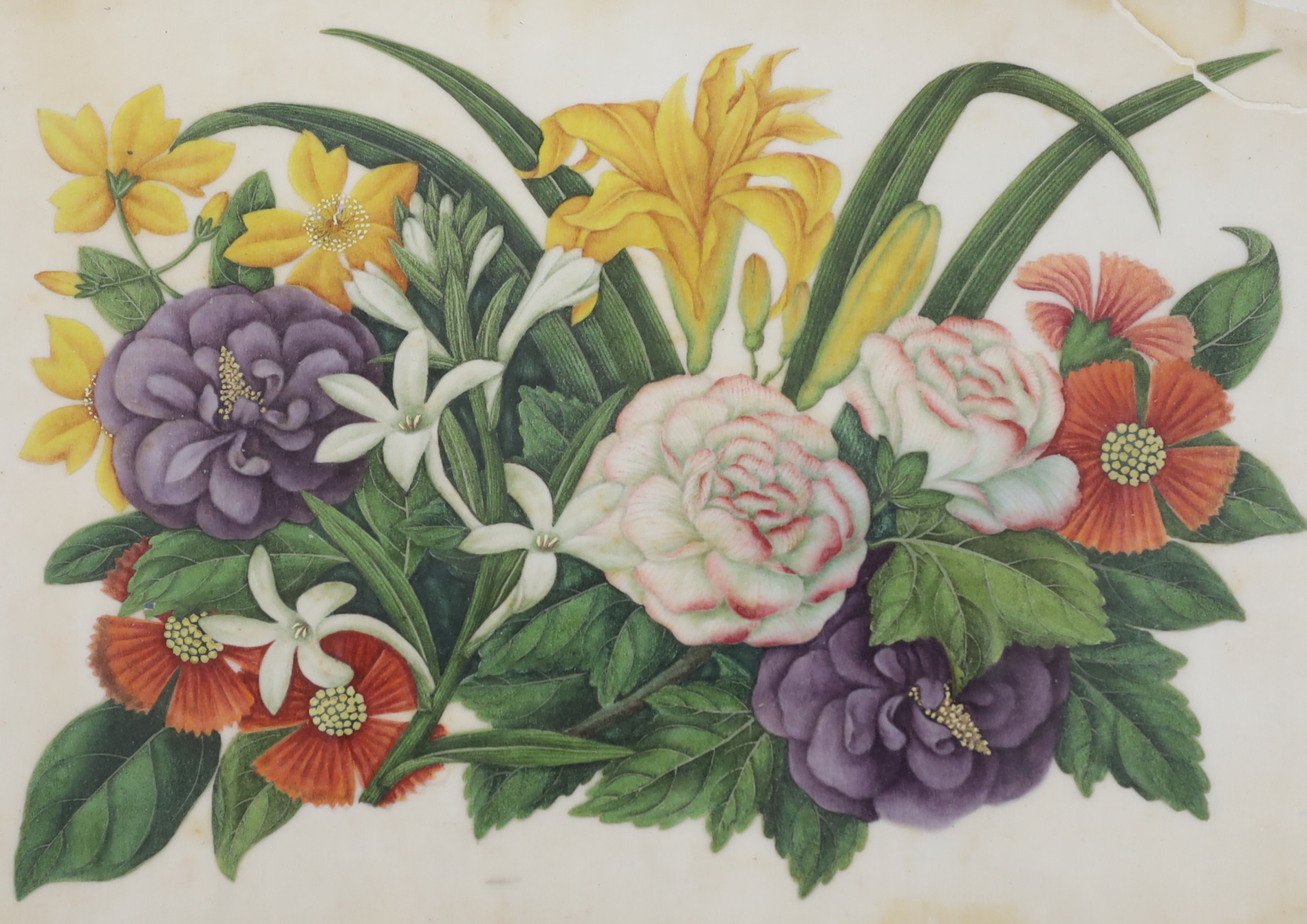 Chinese School, pair of watercolours on pith paper, Still lifes of flowers, 18 x 27cm